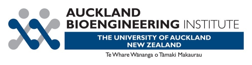 Counties Manukau